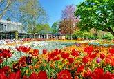 Blütenträume im Kurpark von Bad Krozingen