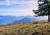 Wandern auf dem Belchen mit Alpenpanorama